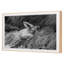 Woman In Field Print by Grand Archives-330669510-330669509