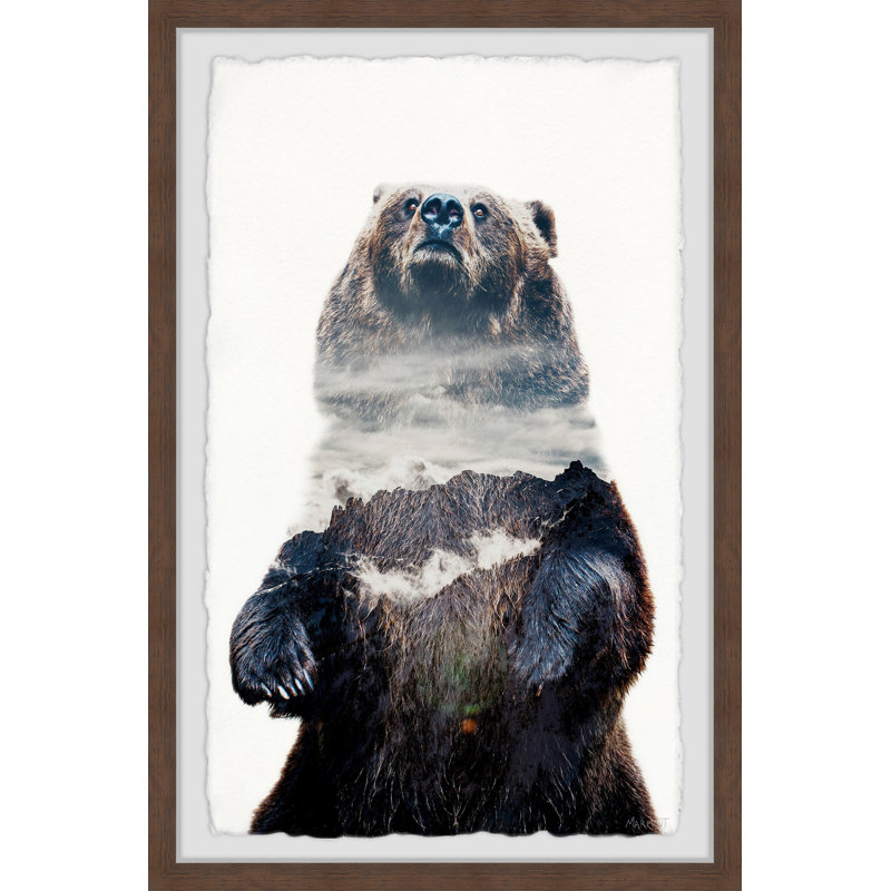 Dark Grizzly - Single Picture Frame Print, 45cm H x 38cm W x 3.81cm D
