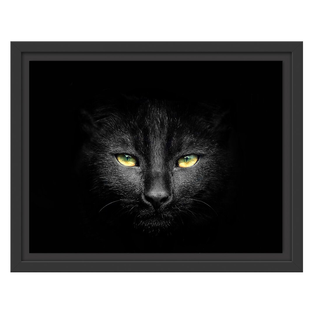 Gerahmtes Wandbild Dark schwarzes Katzengesicht