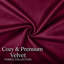Luxurious Plain Velvet Cushion Covers (Set Of 2)-1625199595