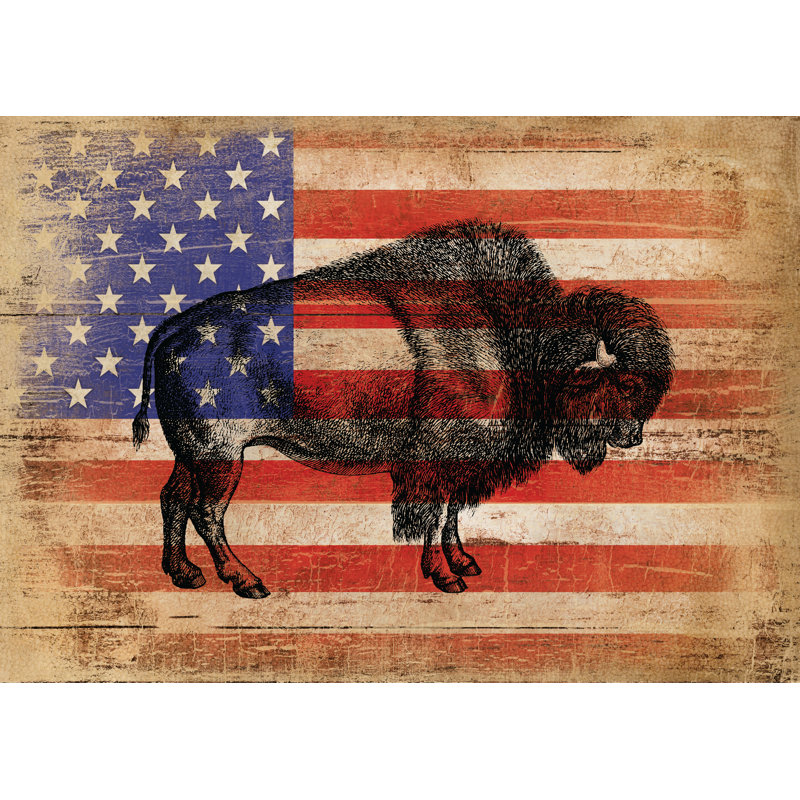 Buffalo Roam - Wrapped Canvas Print, 30cm H x 46cm W x 3.8cm D