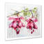 Rose rose fuchsia fleurs de gouttes d'oreille - Fuschia-915529882-882459872