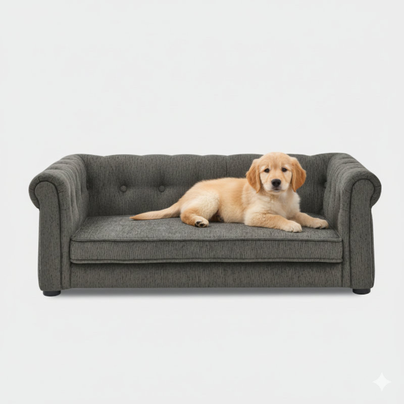 Lit rectangulaire sophistiqué pour animaux de compagnie de taille petite à moyenne. Conçu comme un canapé surélevé durable pour un confort accru. Design moderne et tendance. Finition en matériau gris foncé.