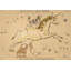 Monoceros Print by Grand Archives-1335200225-1335200224