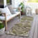 Ceajay Oriental Indoor Rug