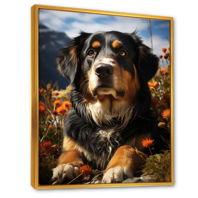 " Bernese Mountain Majesty V "