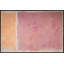 Blush by	Robert Robinson - Floater Frame Painting on Canvas