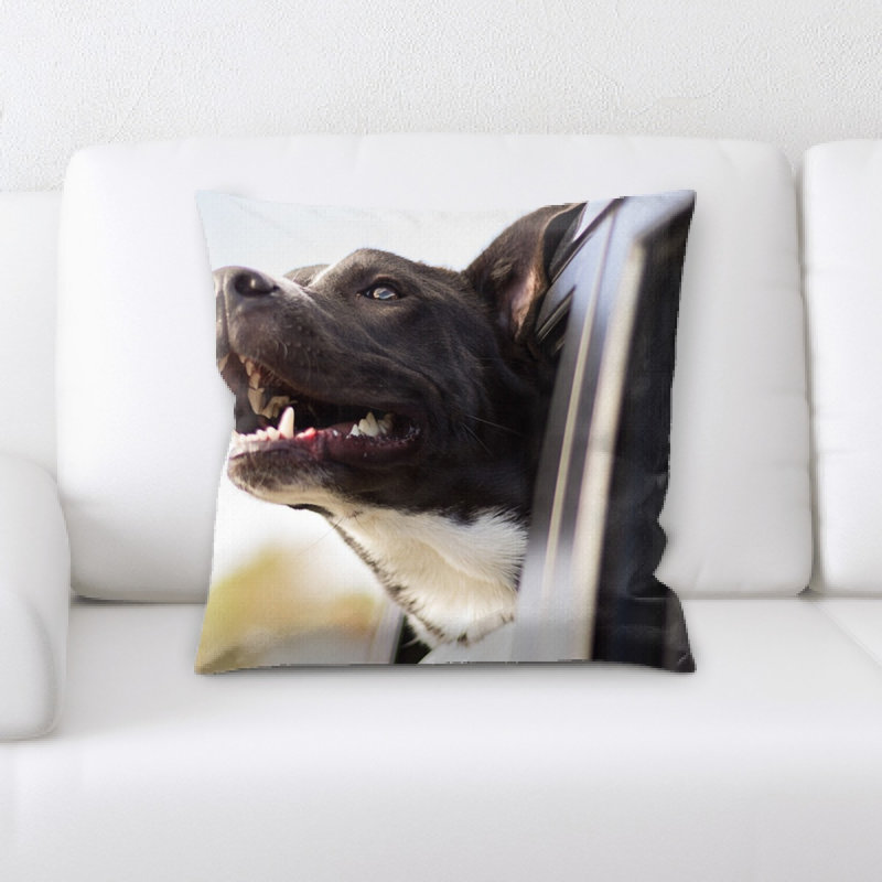 Coussin pour chien