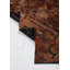Rapture Abstract Area Rug in Orange-1496989503