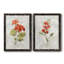 Lin géranium - ensemble de 2 reproductions d'art-1254695853-1254695852-1254695854