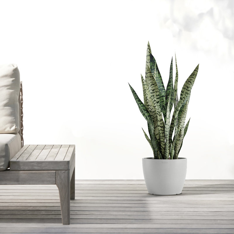 Ecopots Stockholm Indoor/Outdoor Modern Recycled Plastic Flower Pot Planter, White Gray, 7" H x 9.5" W x 9.5" D