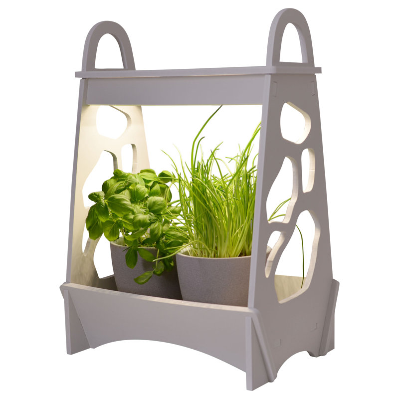 Toney Plant Stand