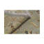 Wool Oriental Area Rug in Cream/Blue