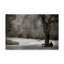 «My Solitude» par Hahne, reproduction de photo sur toile tendue-29763258