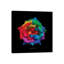 A Gift For My Muse by Ben Heine - Floater Frame Gallery-Wrapped Canvas Giclée on Canvas-631293337-631314637