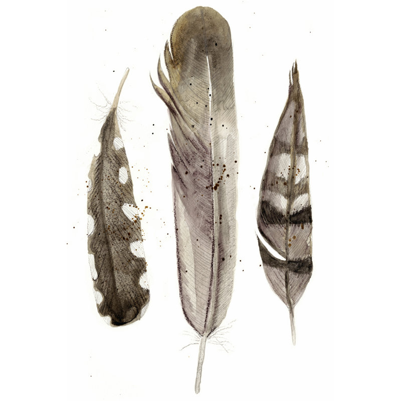 Earthtone Feathers II by Alicia Ludwig - Wrapped Canvas Print, 46cm H x 30cm W