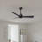 Alessandra 42'' Ceiling Fan-1421734451-1421734360