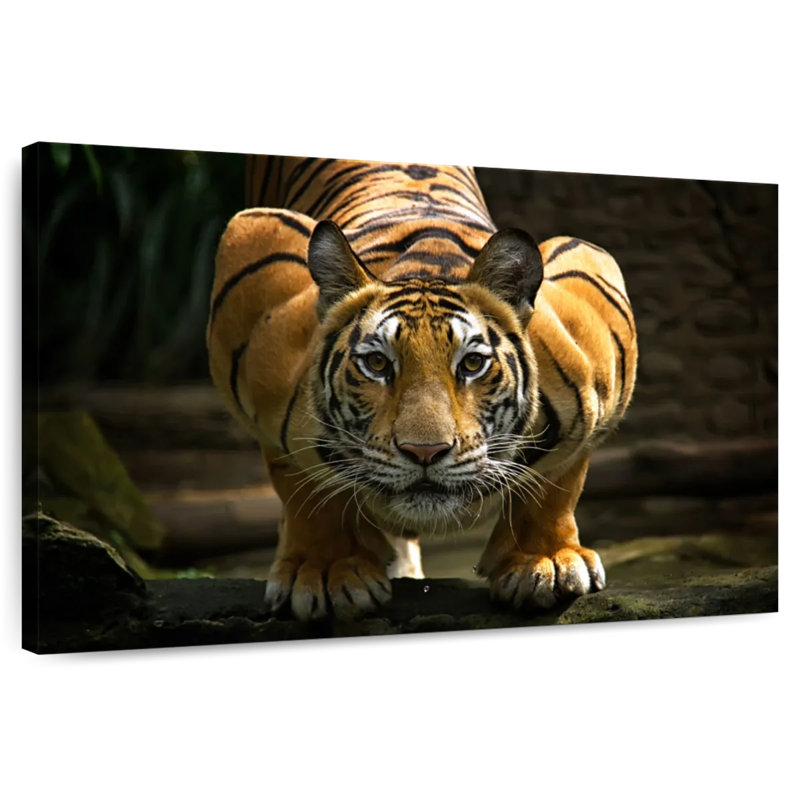 Brampt Fearless Tiger, 26" H x 39" W