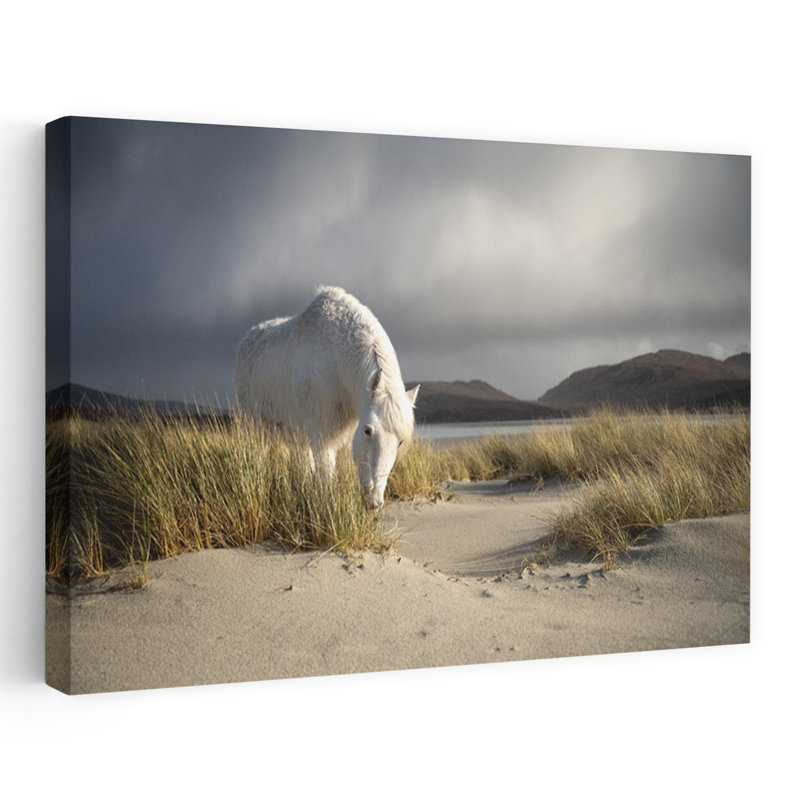Print, 101.6cm H x 152.4cm W
