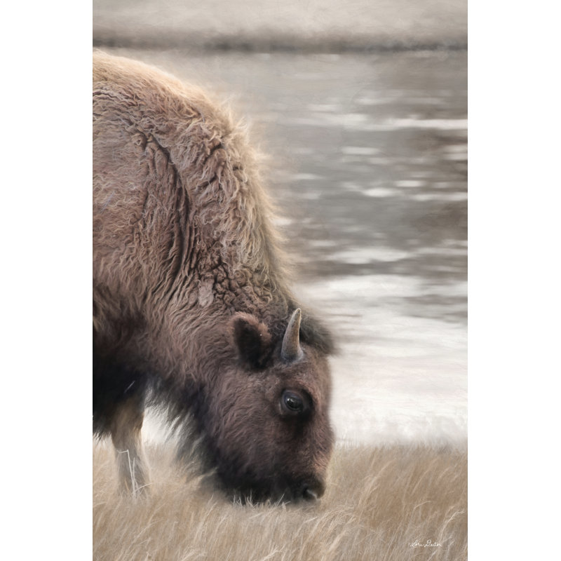 Yellowstone Buffalo 2886777, H 36 po x l 24 po, Non, Toile tendue