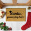 Ezra Non-Slip Christmas Outdoor Doormat