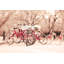 Little Red Riding Bike by Morgan J Hartley - Wrapped Canvas Print-1656127794