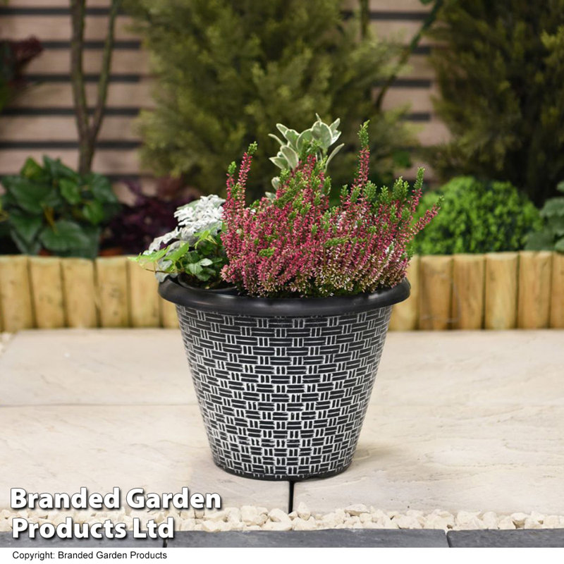 Marlon Plant Pot Triple Pack