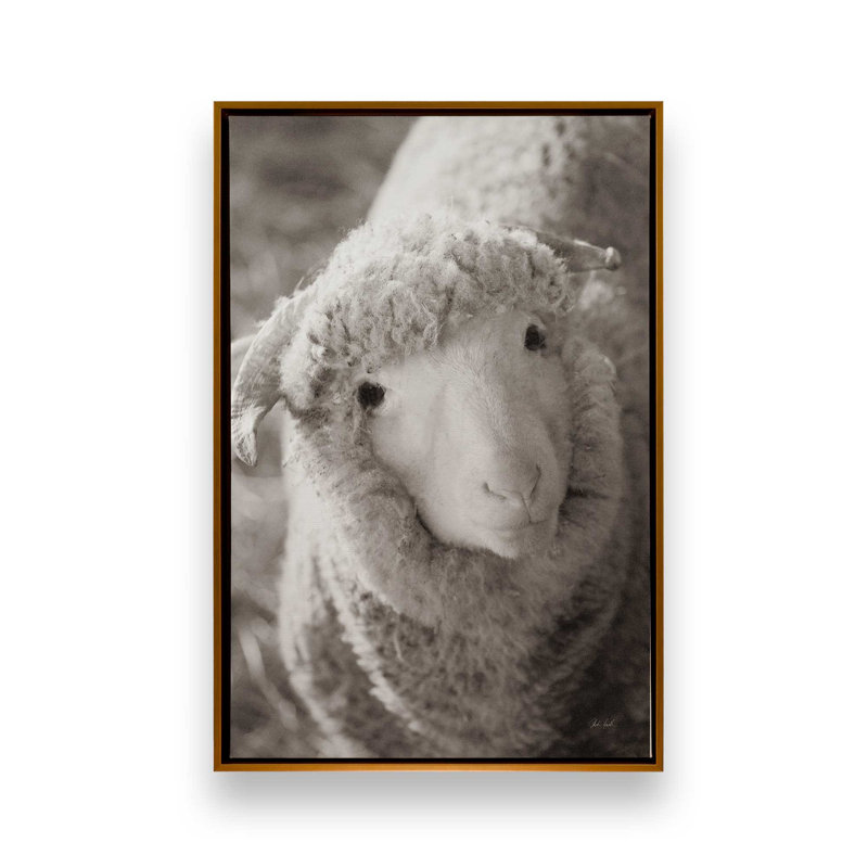 «Barn Buddy IV» par Deborah Revell, reproduction d'art, H 30 po x l 20 po, Cadre flottant, Doré