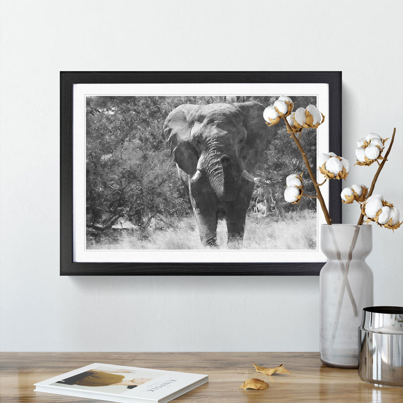 The Majestic Elephant - Framed Print, 24cm H x 33cm W x 2cm D, Black