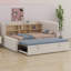 Lit de jour rembourré avec lit gigogne, tablettes de rangement, port USB et prise de courant-1461233402