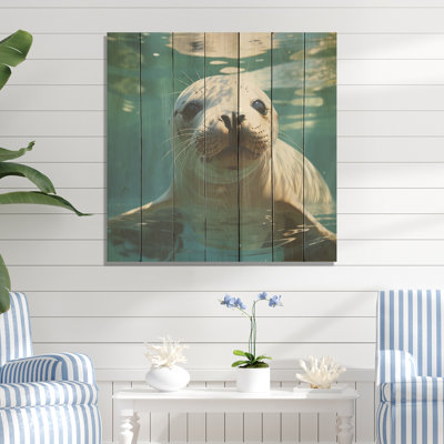 Lions de mer au jeu I -  / otarie marine sur bois