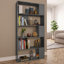 Aleccia 159cm H Bookcase-473375731-473375729