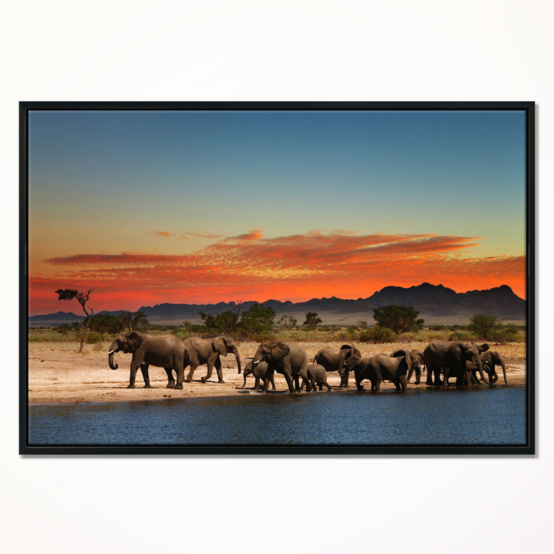 «Herd of Elephants Watering in Savanna», reproduction de photo sur toile tendue encadrée, H 30 po x l 40 po x P 1,5 po