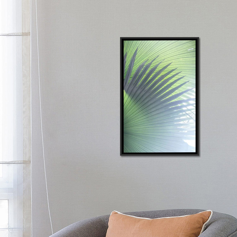 « palmier leaves v », reproduction d’impression sur toile tendue, H 26 po x l 18 po x P 1,5 po, Toile avec cadre noir