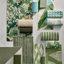 Forest/Clay/Evergreen