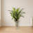 Dracaena Artificial Plant with Urn