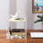 Plastic File Organizer