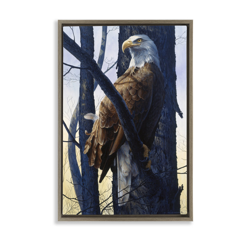 «Eagle's Light Majestic View», art mural encadré flottant par Tom Antonishak, H 31 po x l 21 po