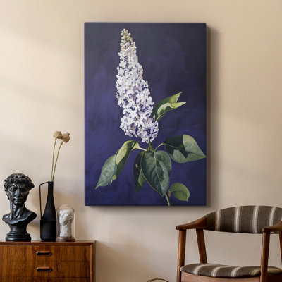 FLORAL Series CCxxxxi - galerie sur mesure