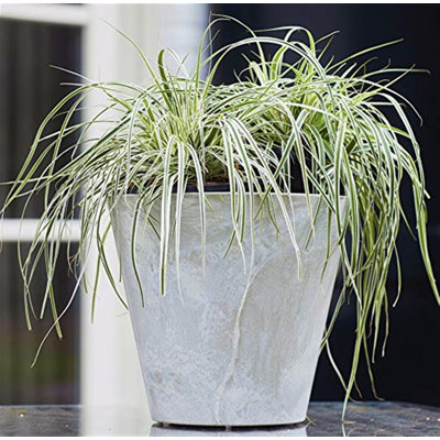 Burkett Self-Watering Stone Pot Planter
