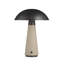 Struzzo Accent Lamp