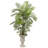 6ft. Areca Palm Artificial Tree in Urn UV Resistant (Indoor/Outdoor)