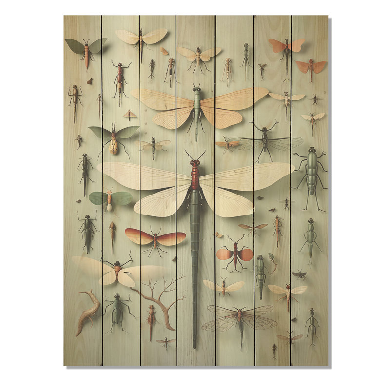 Curious Dragonflies I - Insectes et insectes sur bois, H 20 po x l 10 po