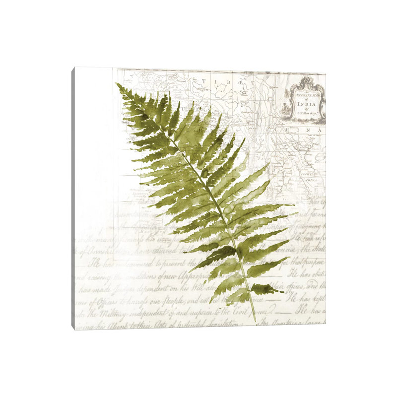 Fern II by Asia Jensen - Wrapped Canvas Painting, 30.48 cm H x 30.48 cm W