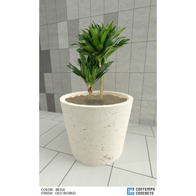 Lyra Planter
