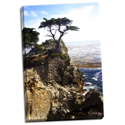 " Lone Cypress 1 " by Alan Hausenflock