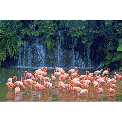 Flock Of Rosy Flamingoes, Singapore by LisaStrachan - Wrapped Canvas Print