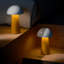 Wood Desk Lamp-1657292395