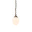 Luminaire suspendu simple à 1 lumière Carballo
