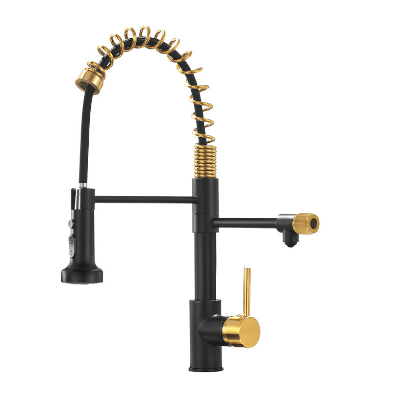 Robinet d'eau potable noir et doré pour la cuisine - Purificateur avec sorties extractibles indépendantes du robinet